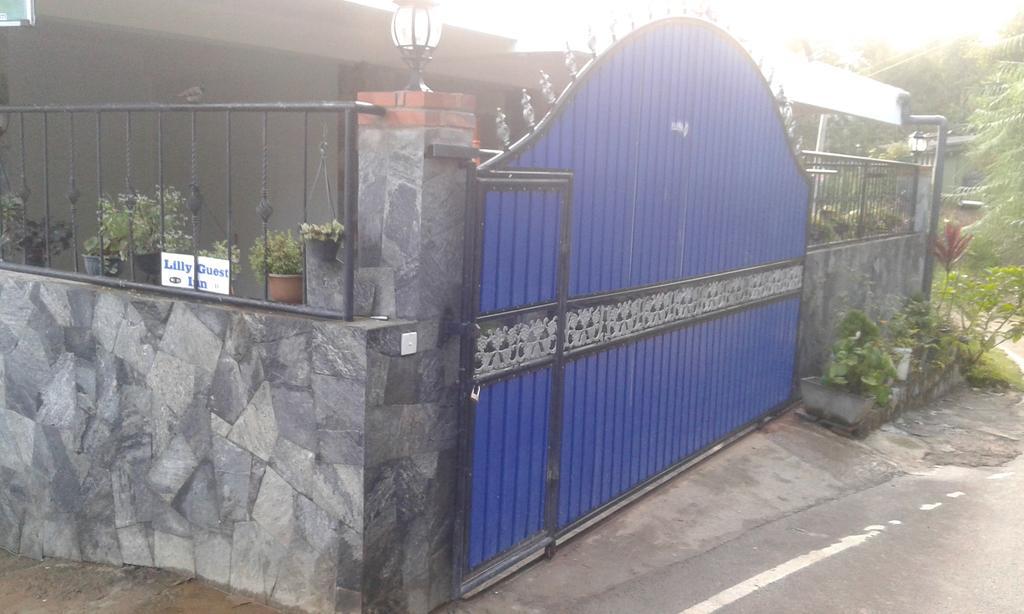 哈普特莱 百合花旅馆酒店 外观 照片