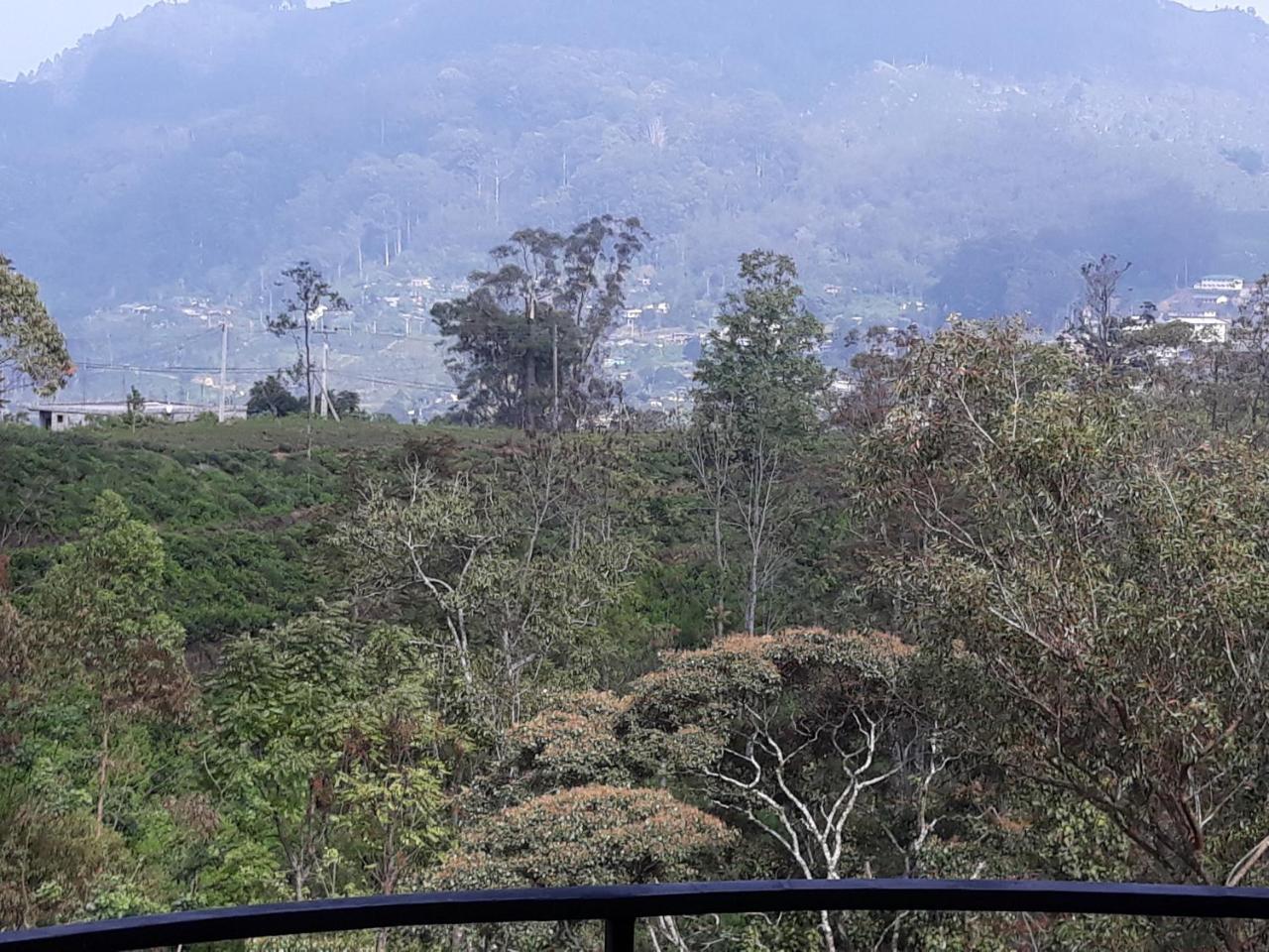 哈普特莱 百合花旅馆酒店 外观 照片